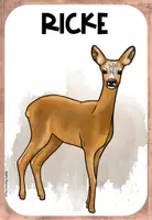 Vorschau - Poster - Wissenskartei zum Reh - Seite 2