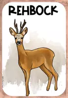 Vorschau - Poster - Wissenskartei zum Reh - Seite 3