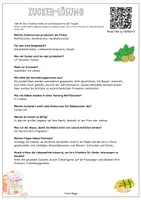 Vorschau - Arbeitsblätter - So wird billiger Zucker hergestellt - Video mit Arbeitsblatt für Sek 1 / Gesunde Ernährung Arbeitsblätter - Seite 2