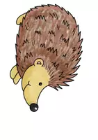 Vorschau - Spiele - Wettlauf Hase-Igel - Seite 3
