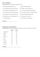 Vorschau - Arbeitsblätter - Mineralstoffe (Infotext und Übungen) - Seite 2