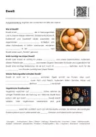 Vorschau - Arbeitsblätter - Eiweiß (Materialpaket) - Seite 3