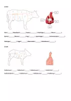 Vorschau - Arbeitsblätter - Fleisch Rind und Kalb Teile und Verwendung Übung - Seite 1
