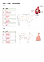 Vorschau - Arbeitsblätter - Fleisch Rind und Kalb Teile und Verwendung Übung - Seite 3