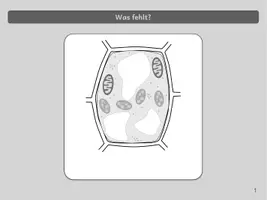 Vorschau - Spiele - Zellbiologie - PowerPoint-Quiz - Seite 1