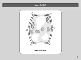 Vorschau - Spiele - Zellbiologie - PowerPoint-Quiz - Seite 2