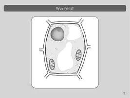 Vorschau - Spiele - Zellbiologie - PowerPoint-Quiz - Seite 3
