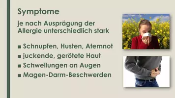 Vorschau - Präsentationen/Tafelbilder - Allergien (Präsentation und H5P) - Seite 3