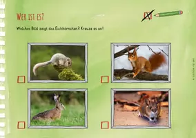 Vorschau - Stundenentwürfe - Das Eichhörnchen - Forscherheft - Seite 3