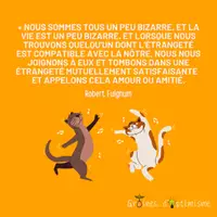 Aperçu - Affichage - Citation illustrée Graines d'optimisme Bizarre - Page de couverture