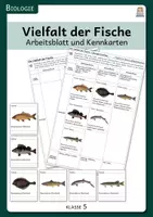 Vorschau - Arbeitsblätter - Vielfalt der Fische - Arbeitsblatt und Kennkarten - Deckblatt