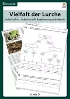 Vorschau - Arbeitsblätter - Vielfalt der Lurche - Arbeitsblatt zur Arbeit mit Bestimmungsschlüsseln - Deckblatt
