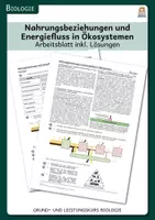 Vorschau - Arbeitsblätter - Nahrungsbeziehungen und Energiefluss in Ökosystemen - Deckblatt