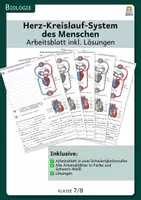 Vorschau - Arbeitsblätter - Materialpaket - Herz-Kreislauf-System des Menschen - Seite 1