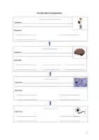 Vorschau - Arbeitsblätter - Organisationsstufen - Deckblatt