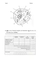 Vorschau - Arbeitsblätter - Lernerfolgskontrolle „Aufbau einer Pflanzenzelle und Mikroskopieren“ - Seite 2