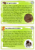Vorschau - Arbeitsblätter - Kleine Kartei zu Tieren im Winter - Seite 2