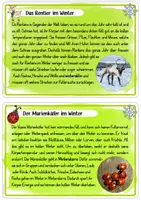 Vorschau - Arbeitsblätter - Kleine Kartei zu Tieren im Winter - Seite 3