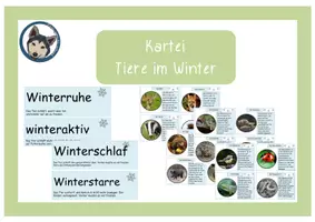 Vorschau - Poster - Kartei Tiere im Winter mit Präsentationslink - Deckblatt
