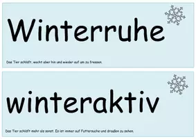 Vorschau - Poster - Kartei Tiere im Winter mit Präsentationslink - Seite 1