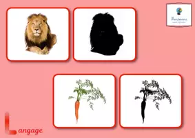 Aperçu - Cartes d'exercices - Langage - Cartes des ombres - Page de couverture