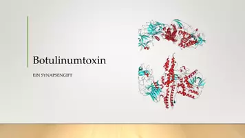 Vorschau - Präsentationen/Tafelbilder - Synapsengift Botulinumtoxin, Präsentation - Seite 1