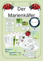 Vorschau - Unterrichtsreihen - Der Marienkäfer - Differenzierte Unterrichtseinheit - Deckblatt