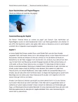 Vorschau - Text - Noticias felices en aviones de papel - Zusammenfassung der Kapitel auf Deutsch - Deckblatt