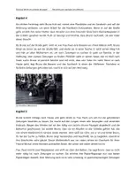 Vorschau - Text - Noticias felices en aviones de papel - Zusammenfassung der Kapitel auf Deutsch - Seite 3
