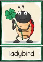 Vorschau - Bildkarten - LUCKY CHARMS (Glücksbringer) - Picture + Word Cards - Seite 2