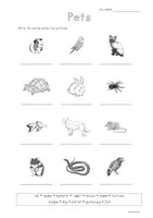 Vorschau - Arbeitsblätter - Freebie - worksheet - pets vocabulary - Seite 1