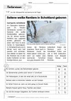 Vorschau - Arbeitsblätter - Wichtelmaterial - Leseverständnis Rentiere - Seite 2