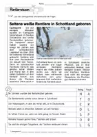 Vorschau - Arbeitsblätter - Wichtelmaterial - Leseverständnis Rentiere - Seite 3