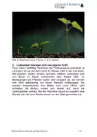 Vorschau - Arbeitsblätter - BIOSTUNDE: Alle Lebewesen zeigen gleiche Merkmale - Seite 3