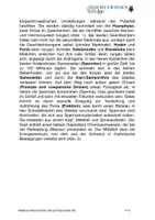 Vorschau - Anderer Materialtyp - BIOSTUNDE: Sexualhormone und ihre Wirkung auf den menschlichen Körper - Seite 3