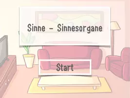 Vorschau - Interaktives Material - NaWi - Sinne (interaktive pdf) - Seite 1