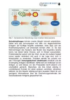 Vorschau - Anderer Materialtyp - BIOSTUNDE_ Das Immunsystem - Seite 3