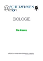 Vorschau - Anderer Materialtyp - BIOSTUNDE: Die Atmung - Deckblatt