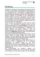 Vorschau - Anderer Materialtyp - BIOSTUNDE: Die Atmung - Seite 1