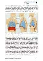 Vorschau - Anderer Materialtyp - BIOSTUNDE: Die Atmung - Seite 2