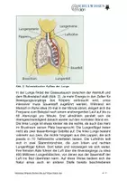 Vorschau - Anderer Materialtyp - BIOSTUNDE: Die Atmung - Seite 3