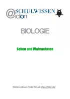 Vorschau - Anderer Materialtyp - BIOSTUNDE: Sehen und Wahrnehmen - Deckblatt