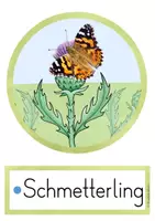 Vorschau - Präsentationen/Tafelbilder - Schmetterlinge - Distelfalter (Lebenszyklus) - Tafelmaterial - Seite 2