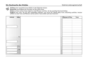 Vorschau - Arbeitsblätter - Stockwerke des Waldes - Arbeitsblatt inkl. Lösungen - Seite 2