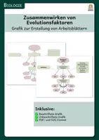 Vorschau - Präsentationen/Tafelbilder - Zusammenwirken von Evolutionsfaktoren - Grafik zur Erstellung von Arbeitsblättern - Deckblatt