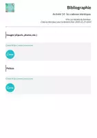Aperçu - Feuilles d'exercices - Activité 14 - les cadeaux identiques - Page 1