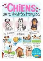Vista previa - Tarjetas / Manipulativos - les chiens - tarjetas con imágenes francés - Portada
