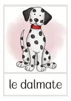 Vista previa - Tarjetas / Manipulativos - les chiens - tarjetas con imágenes francés - página 1