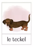 Vista previa - Tarjetas / Manipulativos - les chiens - tarjetas con imágenes francés - página 2