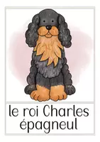 Vista previa - Tarjetas / Manipulativos - les chiens - tarjetas con imágenes francés - página 3